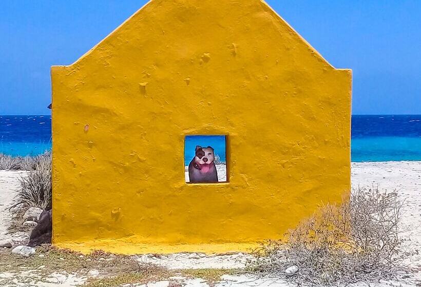 هاستل Hakuna Matata Bonaire Beach & Diving