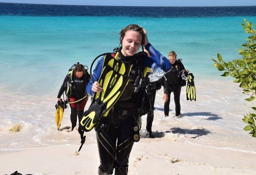 هاستل Hakuna Matata Bonaire Beach & Diving