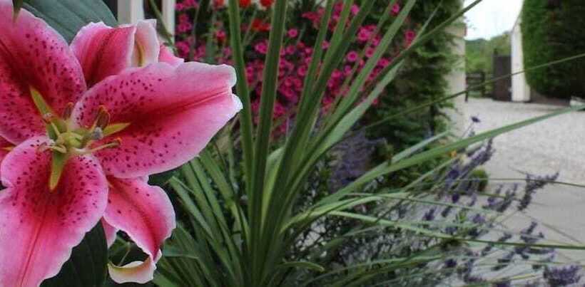 ベッドアンドブレックファースト Hope Orchard