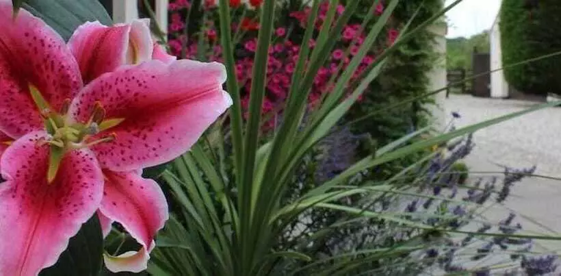 Aamiaismajoitus (B&B) Hope Orchard