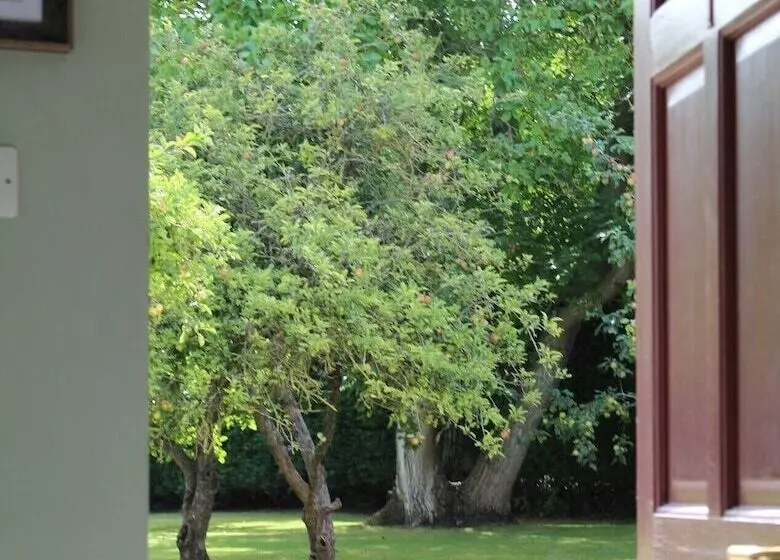 Aamiaismajoitus (B&B) Hope Orchard