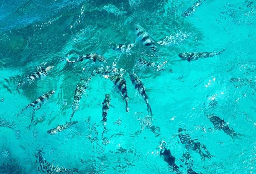 Отель Juani Beach Bungalows