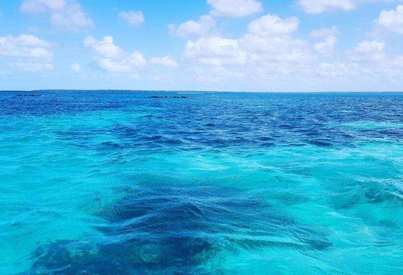 Отель Juani Beach Bungalows