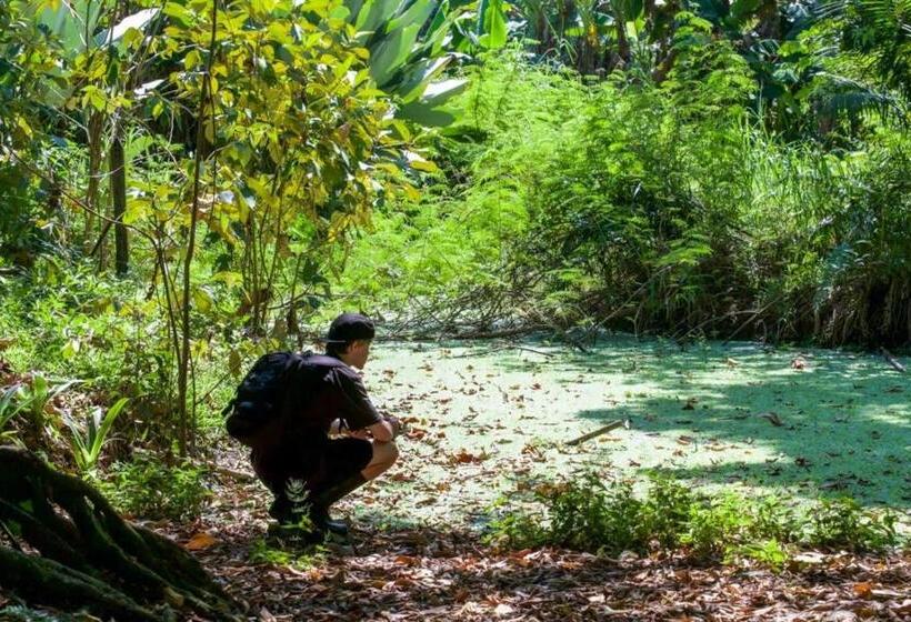 Пансион Karandi Hostel