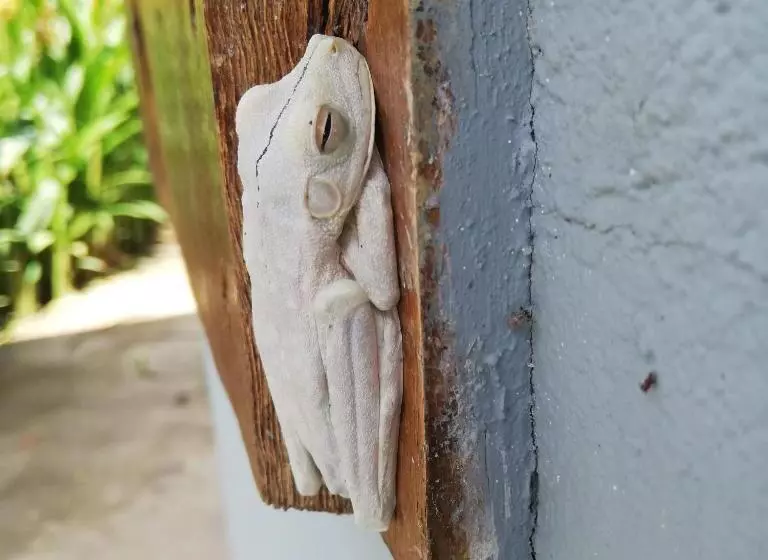 Majatalo Karandi Hostel