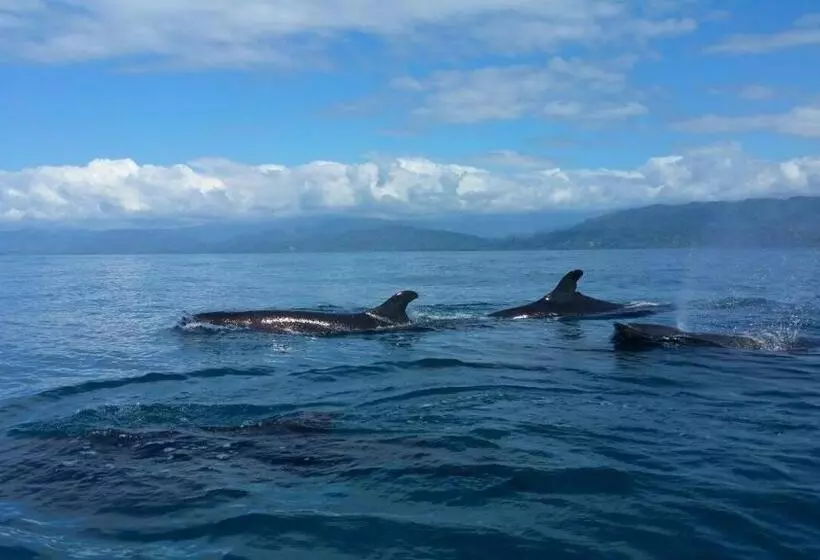 Majatalo Karandi Hostel