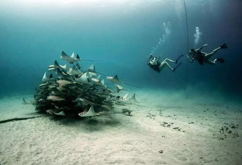 Majatalo Karandi Hostel