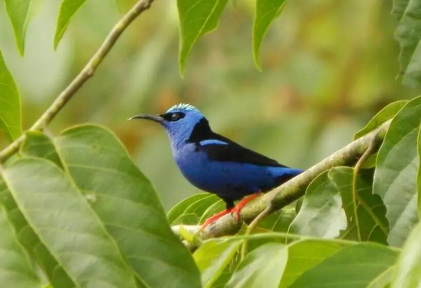 Majatalo Karandi Hostel