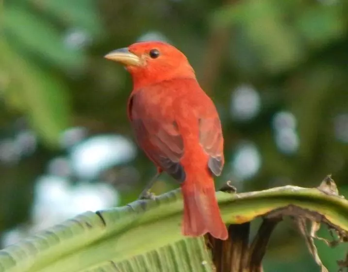 Majatalo Karandi Hostel