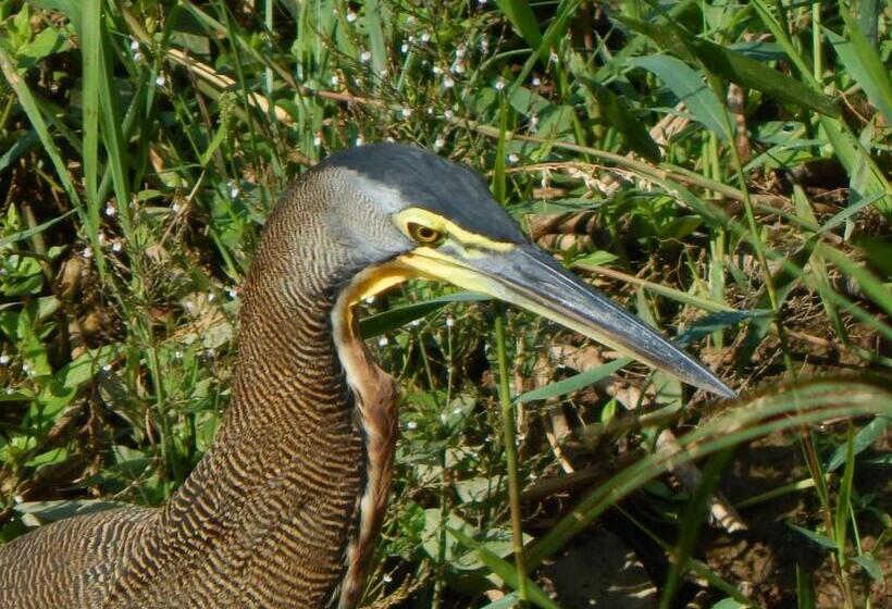 Пансион Karandi Hostel