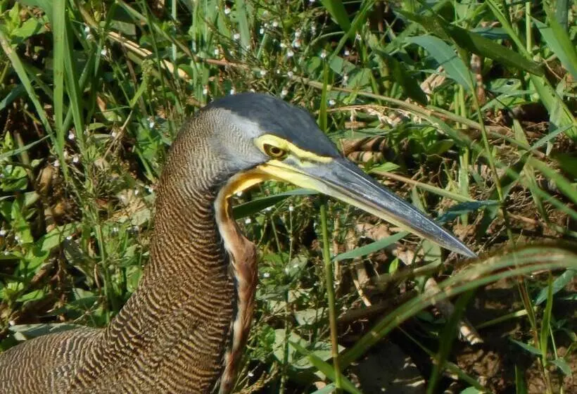 Majatalo Karandi Hostel