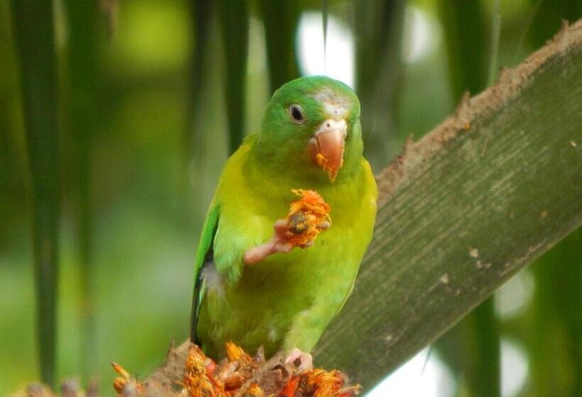 Пансион Karandi Hostel