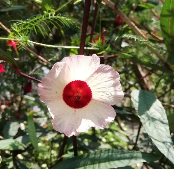 Majatalo Karandi Hostel