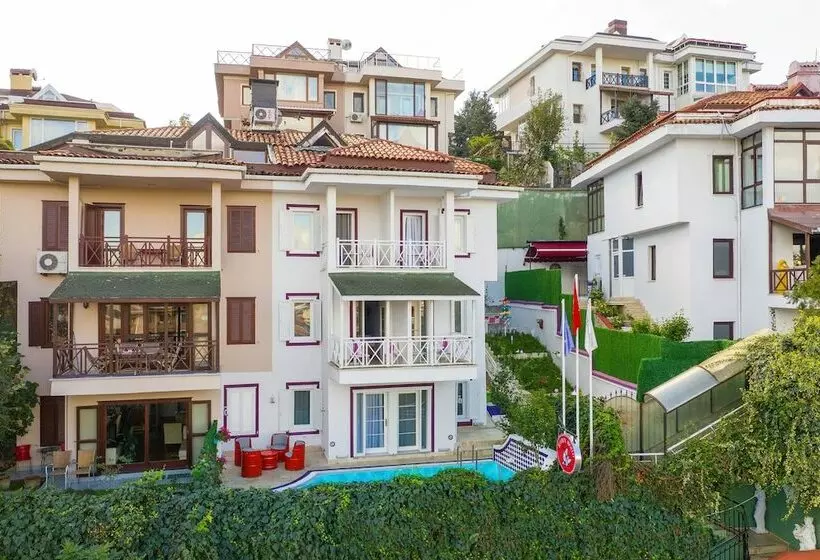 تختخواب و صبحانه Robin Hood