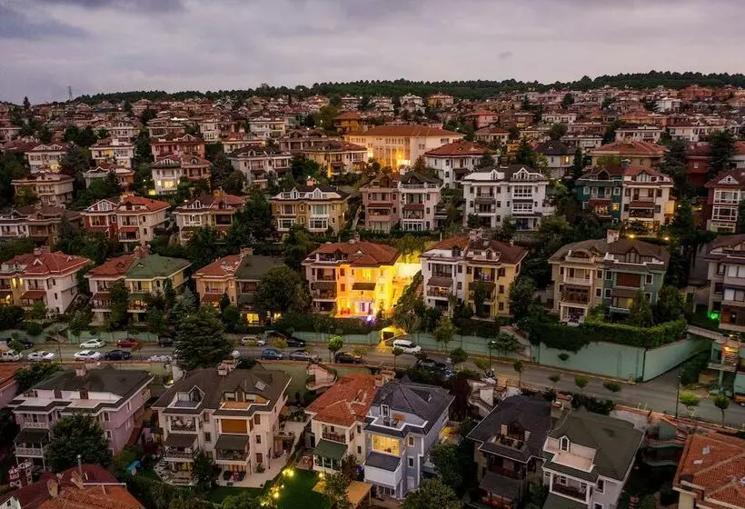 تختخواب و صبحانه Robin Hood