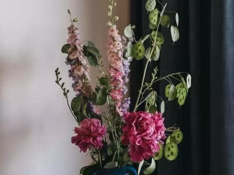 ホテル Vaya Fieberbrunn