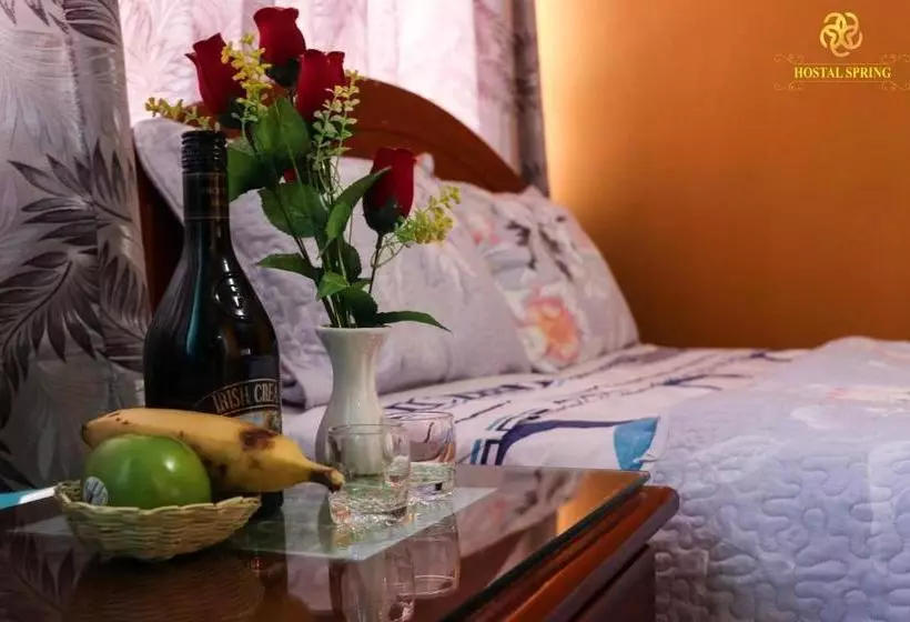 ペンション Hostal Spring Ii