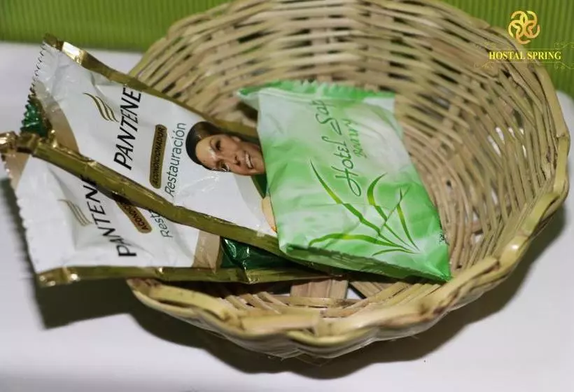 ペンション Hostal Spring Ii