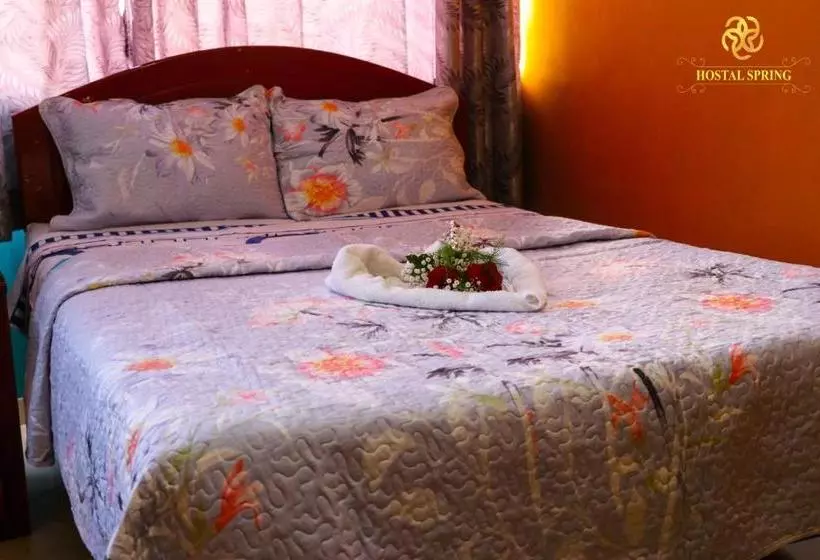 ペンション Hostal Spring Ii