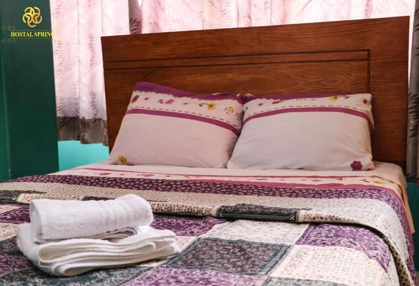 پانسیون Hostal Spring Ii