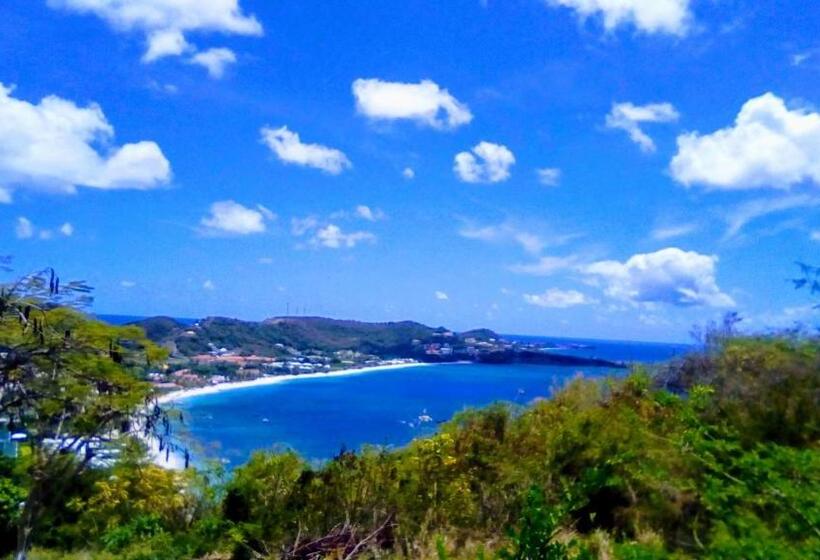 تختخواب و صبحانه Little Palace Bnb