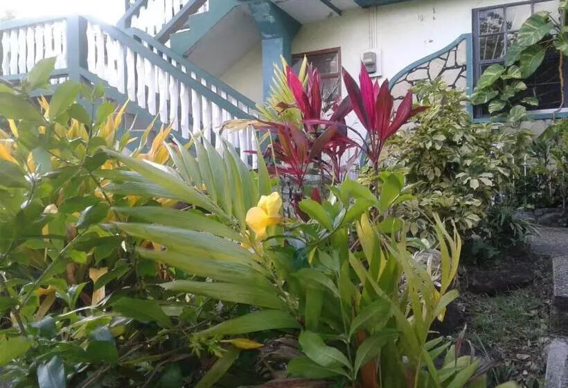 تختخواب و صبحانه Little Palace Bnb