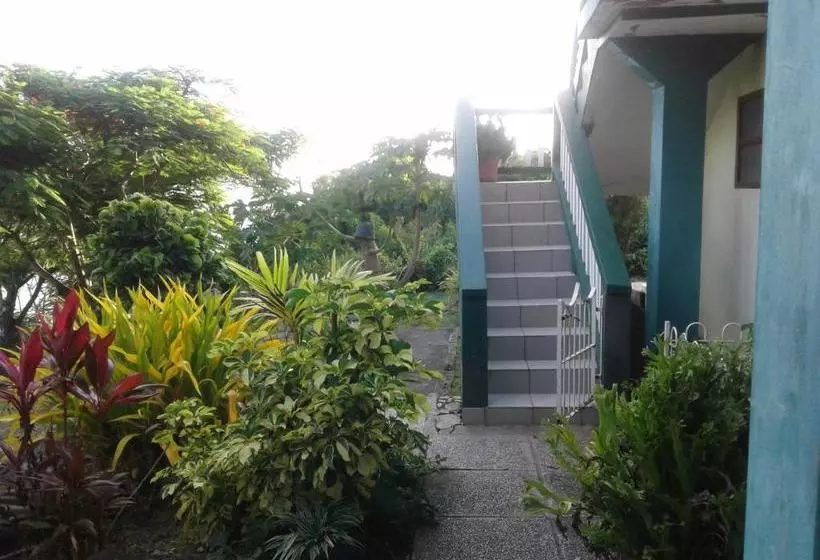 تختخواب و صبحانه Little Palace Bnb