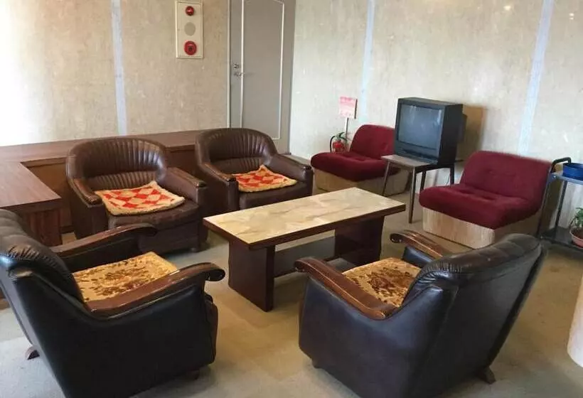 Business Hotel Minami