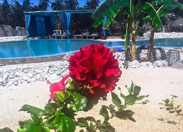 ホテル Lucrezia's Garden Zanzibar