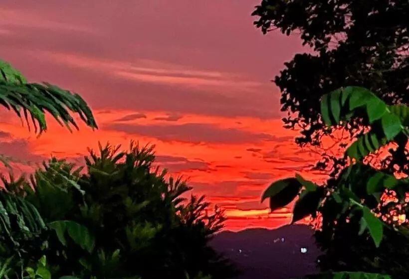 ペンション Gammaduwa Heritage Bungalow And Tea Gardens