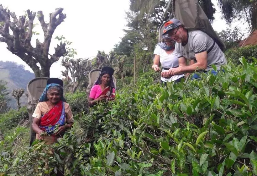 ペンション Gammaduwa Heritage Bungalow And Tea Gardens