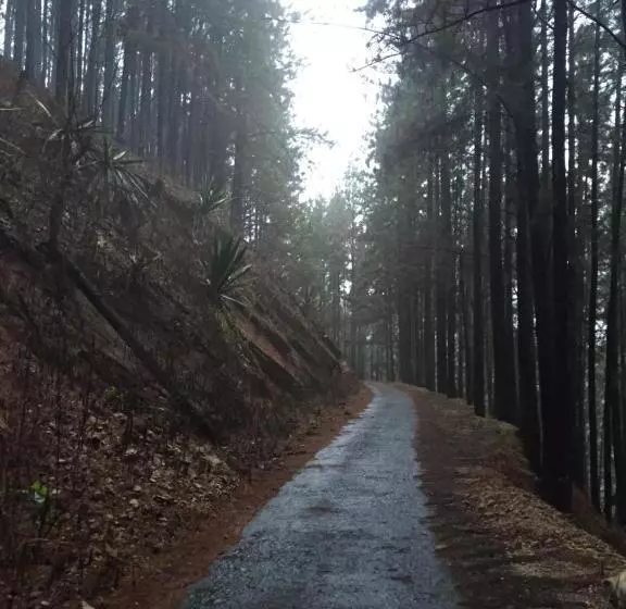 ペンション Gammaduwa Heritage Bungalow And Tea Gardens