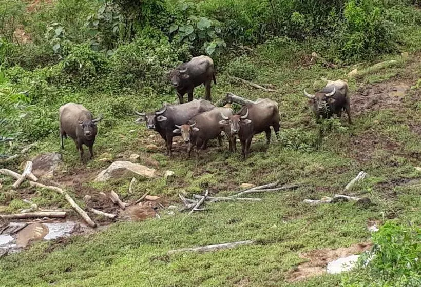 ペンション Gammaduwa Heritage Bungalow And Tea Gardens