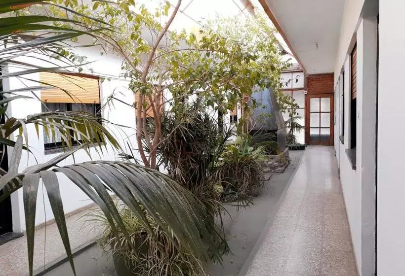 ペンション Aimara Apartamentos Y Habitaciones