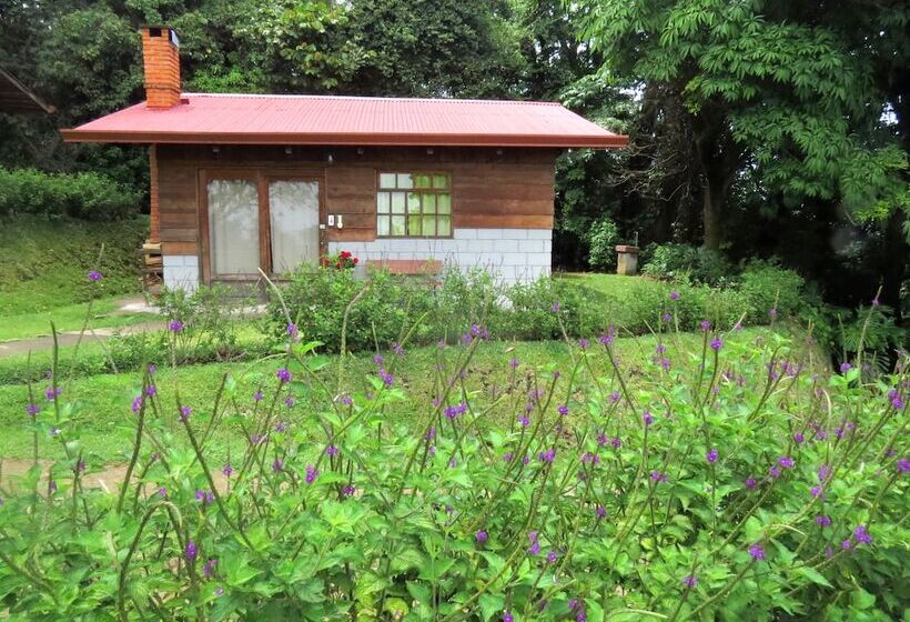 Общежитие Rancho Amalia