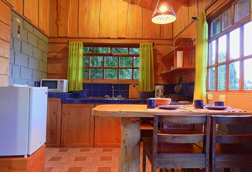 Общежитие Rancho Amalia