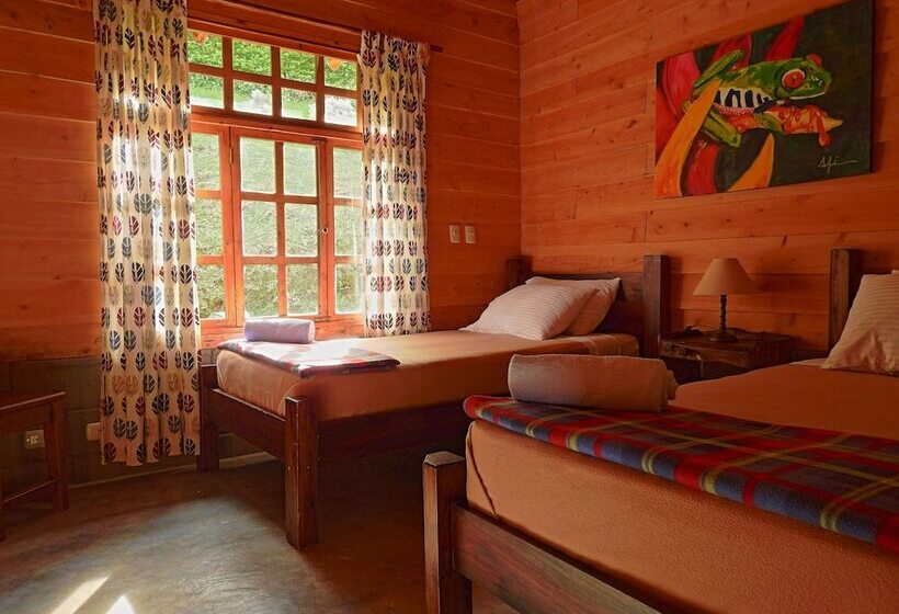 Общежитие Rancho Amalia