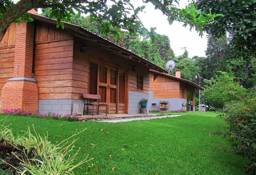 Общежитие Rancho Amalia