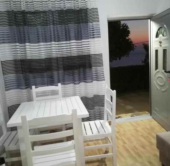 膳宿费 Eduard Lagji Apartament