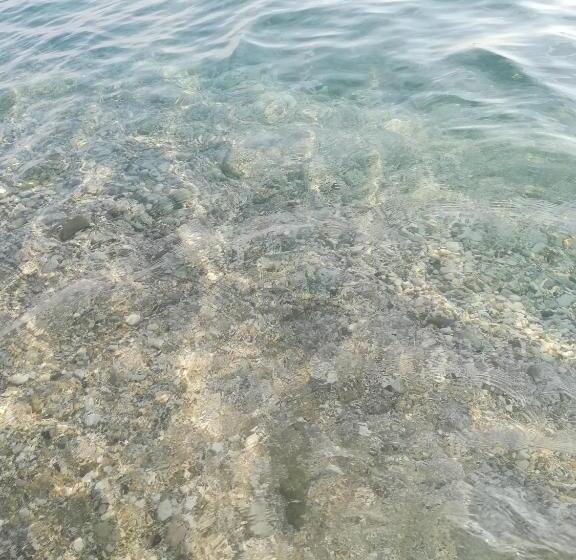 膳宿费 Eduard Lagji Apartament