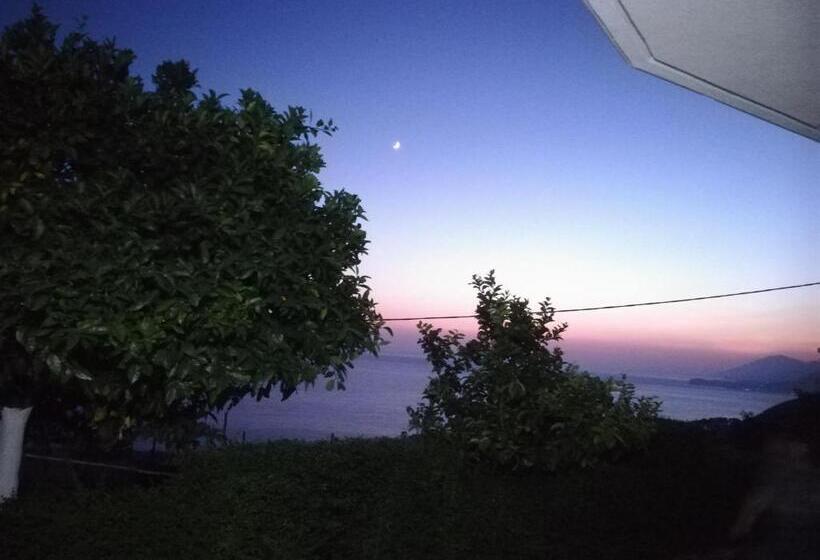 膳宿费 Eduard Lagji Apartament