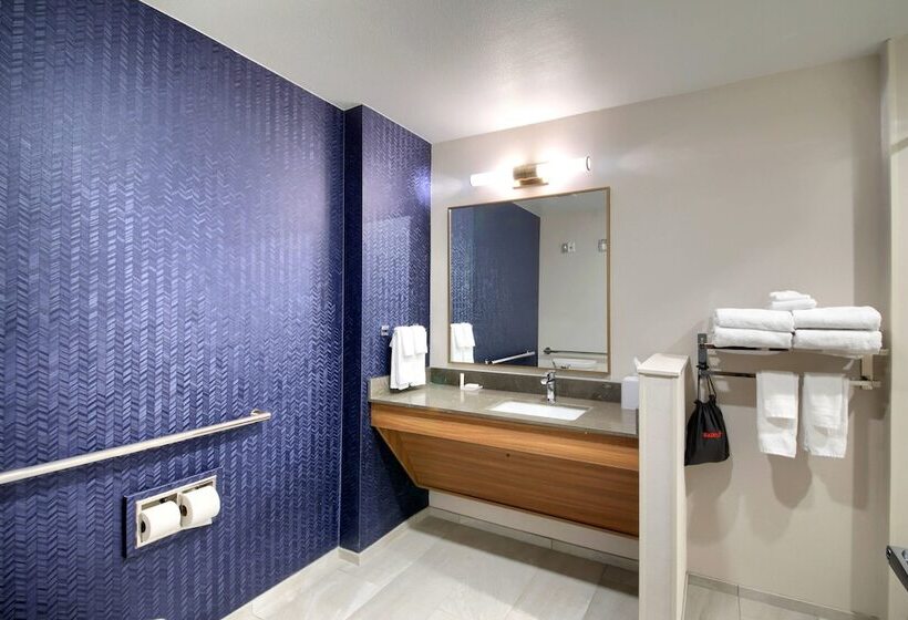 فندق Fairfield Inn & Suites By Marriott Dallas Cedar Hill