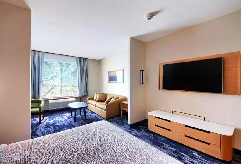 ホテル Fairfield Inn & Suites By Marriott Dallas Cedar Hill