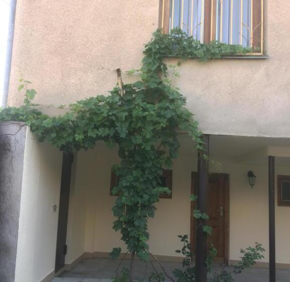 پانسیون Guest House Kartuli Suli