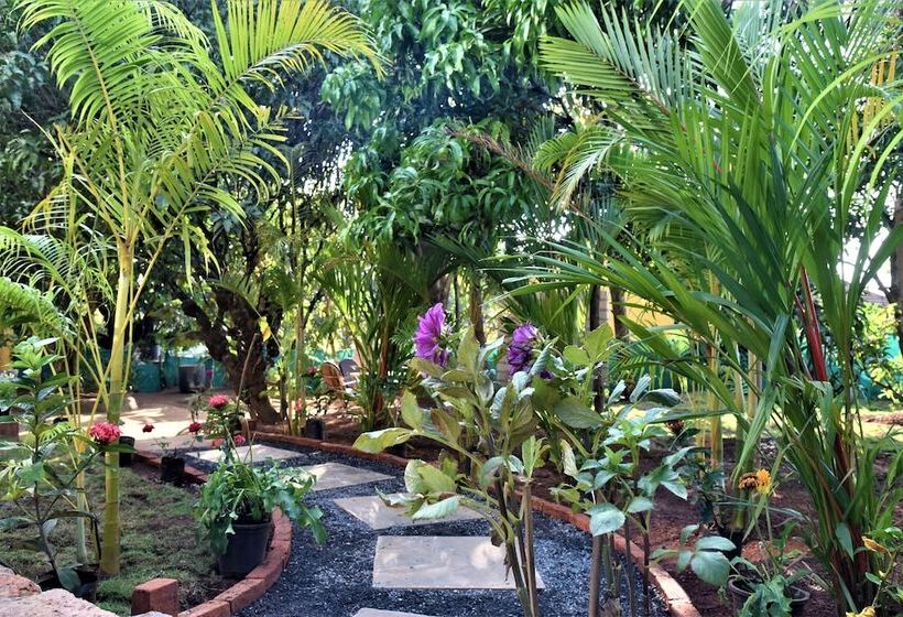 Bed and Breakfast Harmal S Residency