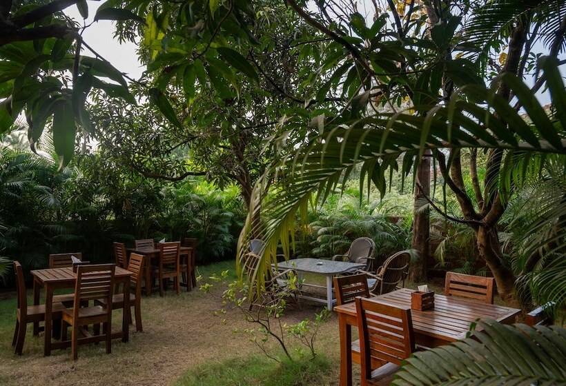 Bed and Breakfast Harmal S Residency