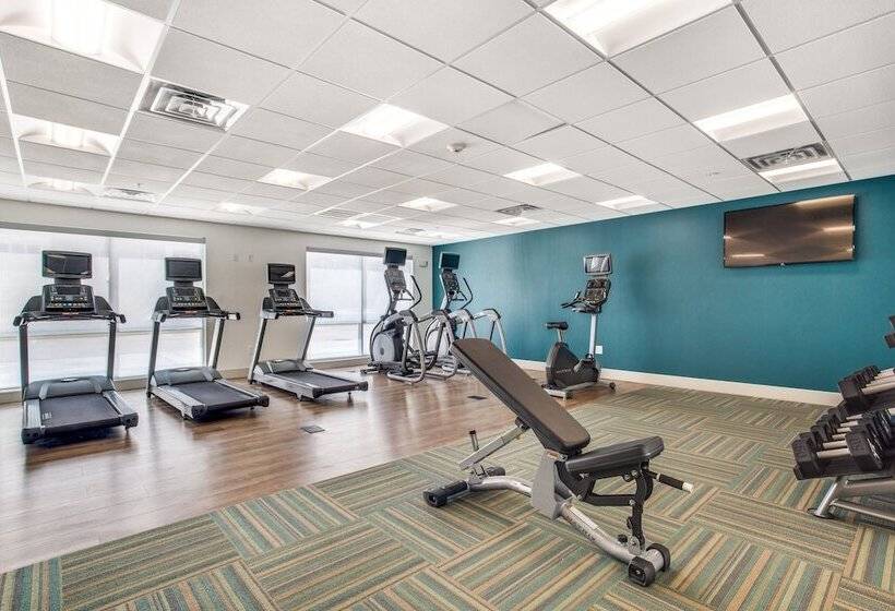 Hotel Holiday Inn Express & Suites Denton South, An Ihg