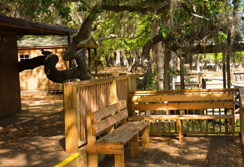 ホテル Camp Mack, A Guy Harvey Lodge