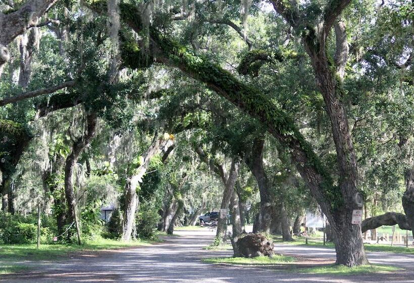 ホテル Camp Mack, A Guy Harvey Lodge