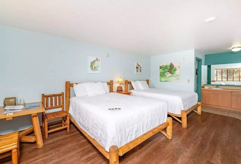 Hotelli Camp Mack, A Guy Harvey Lodge